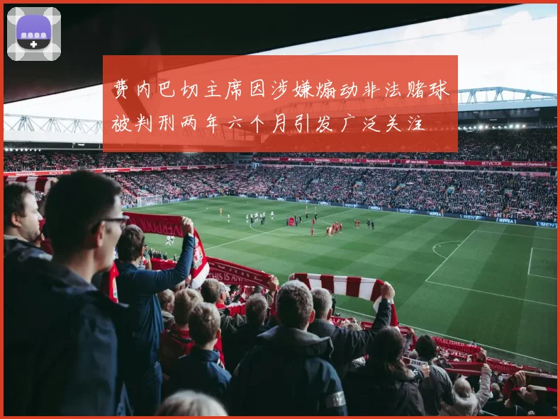 费内巴切主席因涉嫌煽动非法赌球被判刑两年六个月引发广泛关注