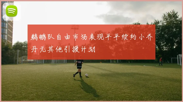 鹈鹕队自由市场表现平平续约小乔丹无其他引援计划